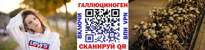 Псилоцибиновые грибы Psilocybine cubensis  что такое   Протвино 