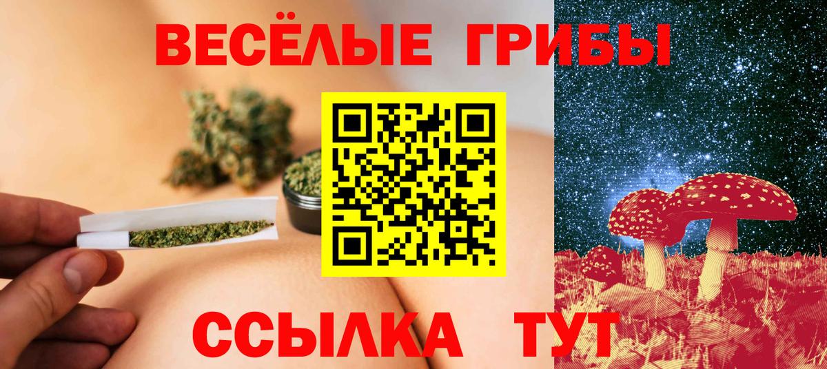 Псилоцибиновые грибы мицелий  Вход с VPN  Протвино 