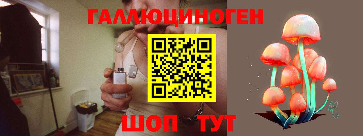 Псилоцибиновые грибы GOLDEN TEACHER Протвино