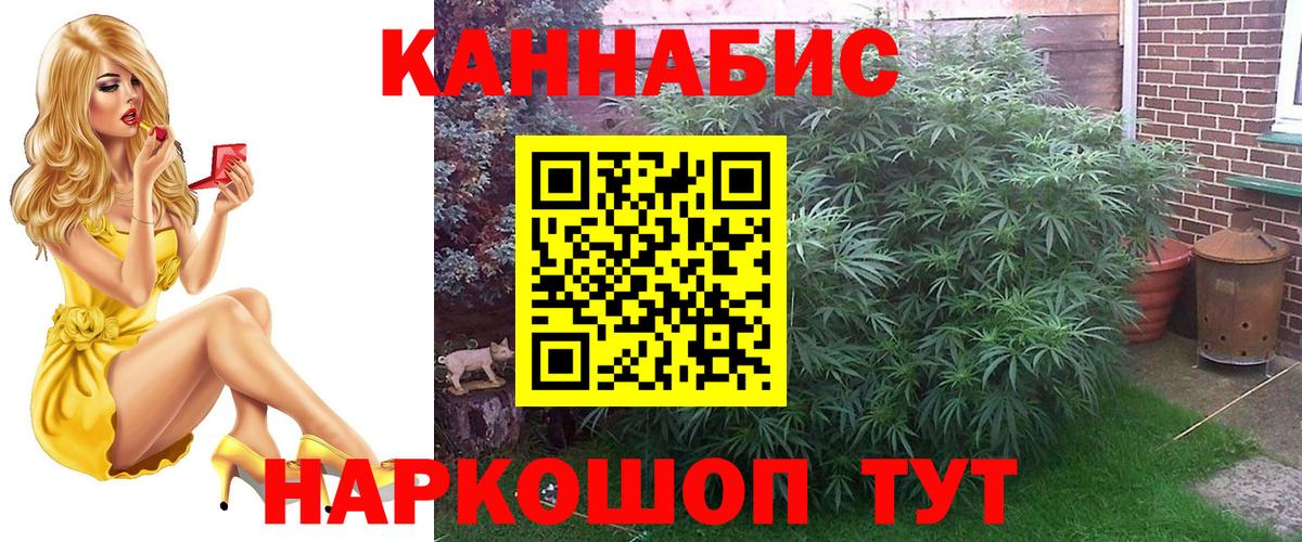 Конопля индика  Вход с VPN  Шишки марихуана сатива  Бошки Шишки конопля  Протвино 